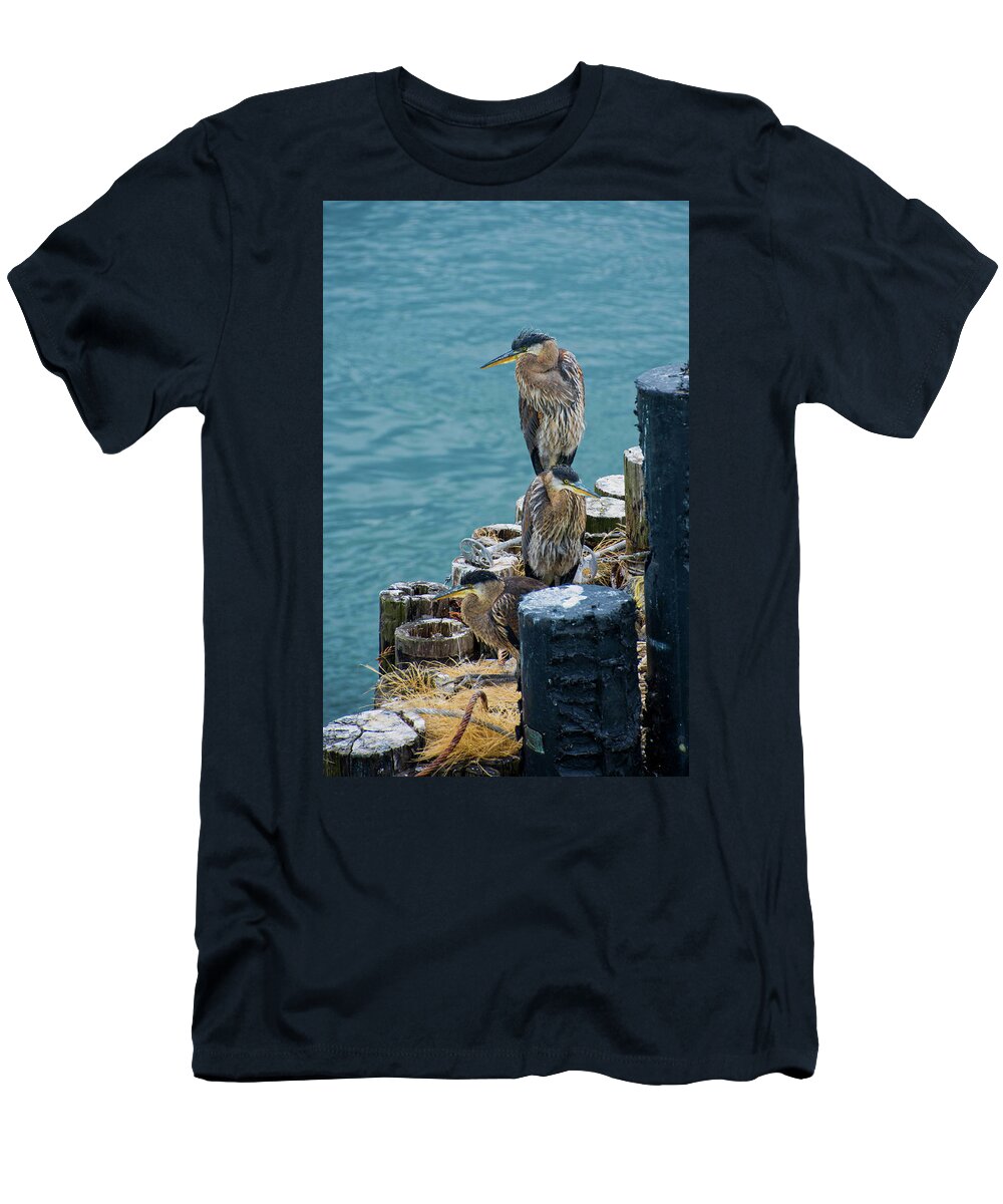 Heron T-Shirt featuring the photograph Seaside Nest by Steph Gabler