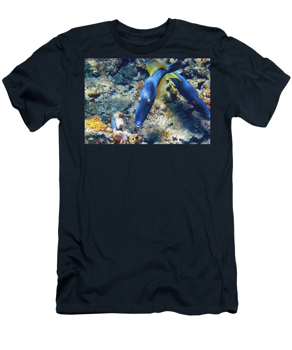 Trigger Fish T-Shirt featuring the photograph Smile for the Camera by Anthony Jones