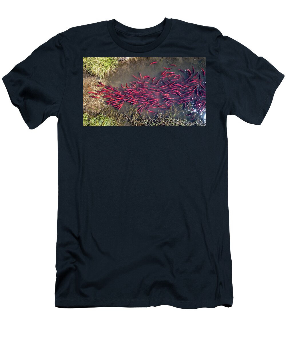 Kokanee T-Shirt featuring the photograph Spawning Kokanee Salmon by Wesley Aston