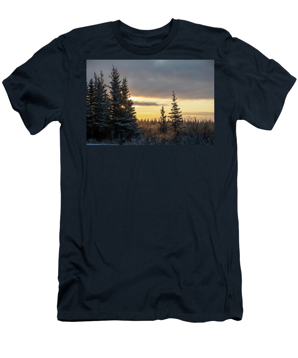 Forest T-Shirt featuring the photograph Winter Forest Sunrise by Mark Hunter
