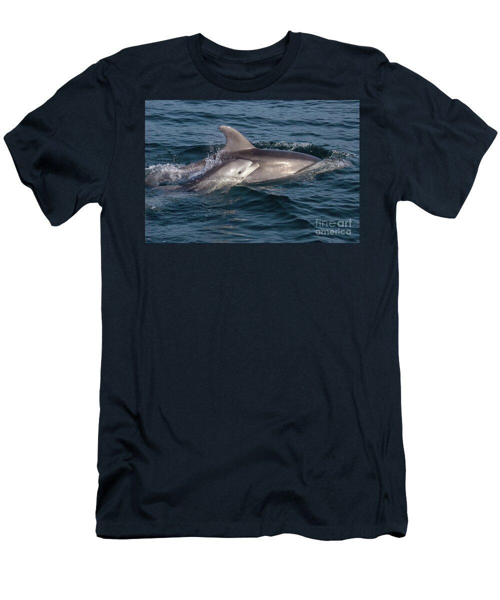 Bottlenose Dolphin T-Shirt featuring the photograph Mom and Baby Bottlenose Dolphin #1 by Loriannah Hespe