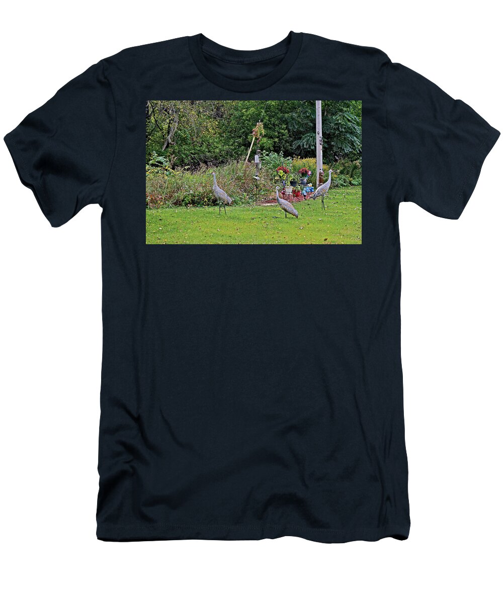 Sandhill Cranes; Birds; Backyard; T-Shirt featuring the photograph 2021 Fall Sandhill Cranes 6 by Janis Senungetuk