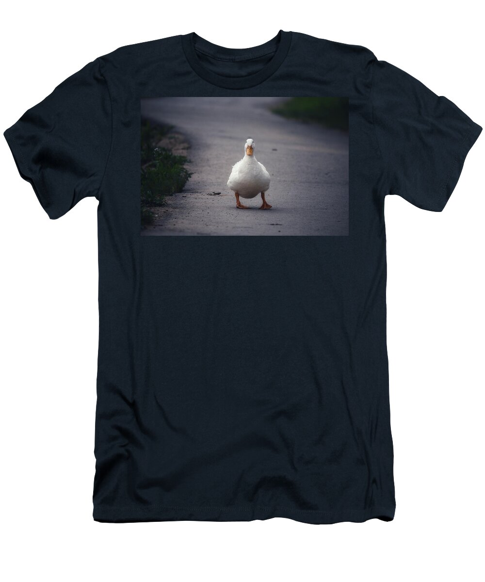 Photo T-Shirt featuring the photograph A walk in the Park by Evan Foster