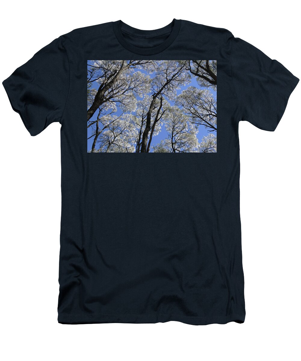 Trees T-Shirt featuring the photograph Ancient Tree Tops by Maryse Jansen