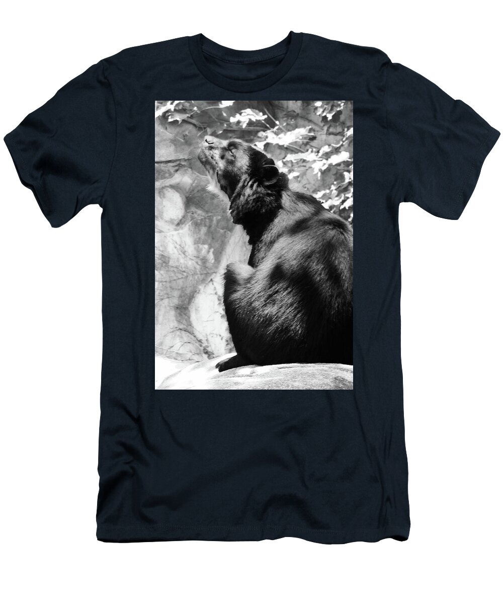 Andean Bear T-Shirt featuring the photograph Andean Bear Catching Rays bw by Emmy Marie Vickers