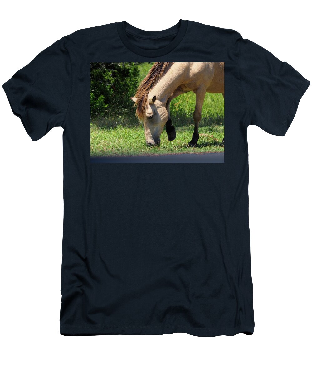 Coco T-Shirt featuring the photograph Assateague Buckskin Mare Coco by Bill Swartwout