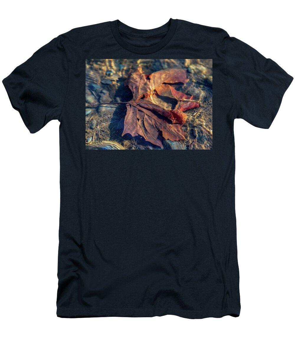 Seasons T-Shirt featuring the photograph Autumn Underwater - Upper Delaware River by Amelia Pearn