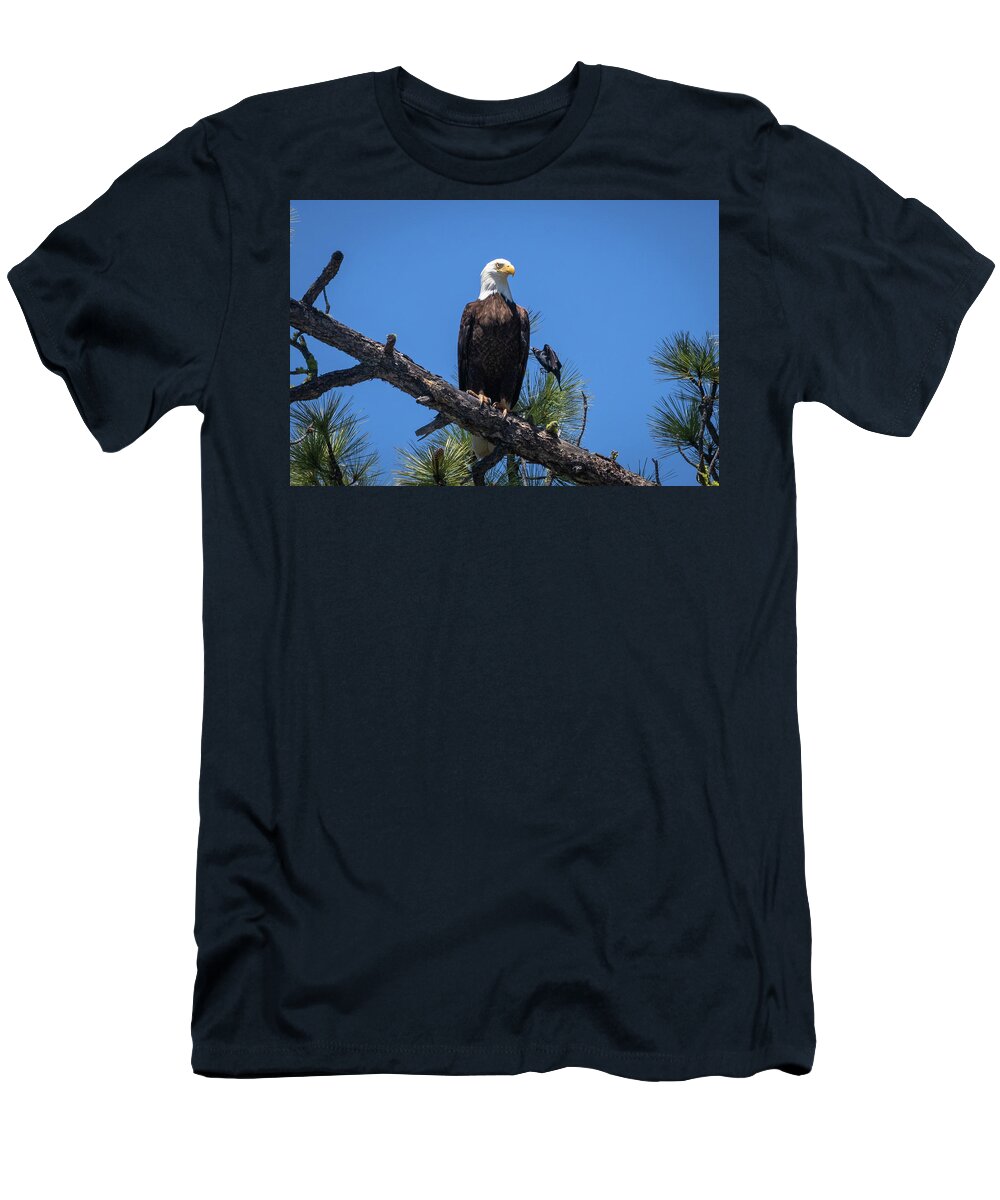 Eagle T-Shirt featuring the photograph Be the Eagle by Randy Robbins