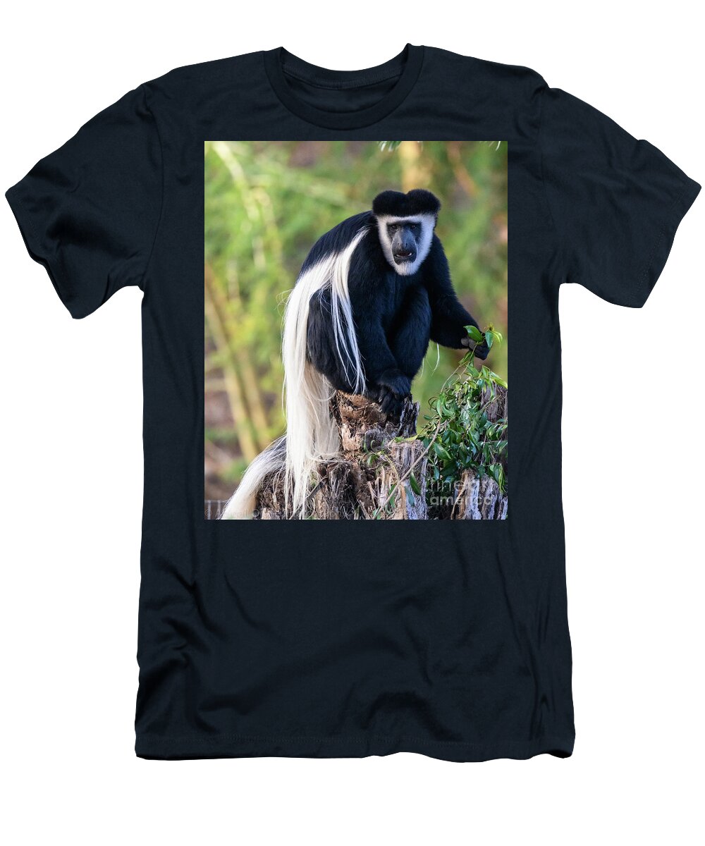 Colobus Monkey T-Shirt featuring the photograph Black and White Colobus Monkey by Abigail Diane Photography