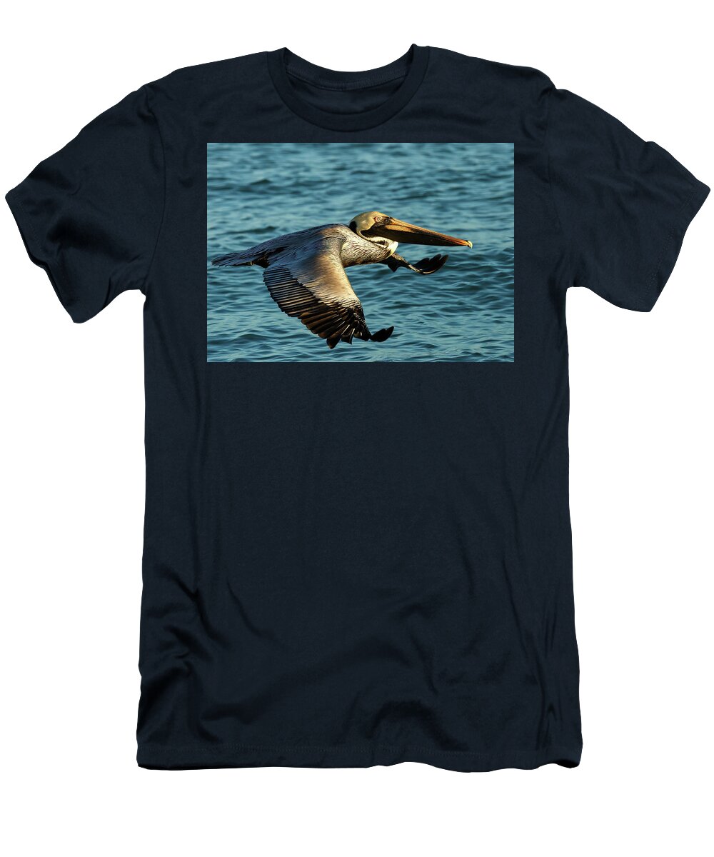 Birds T-Shirt featuring the photograph Brown Pelican by David Lee