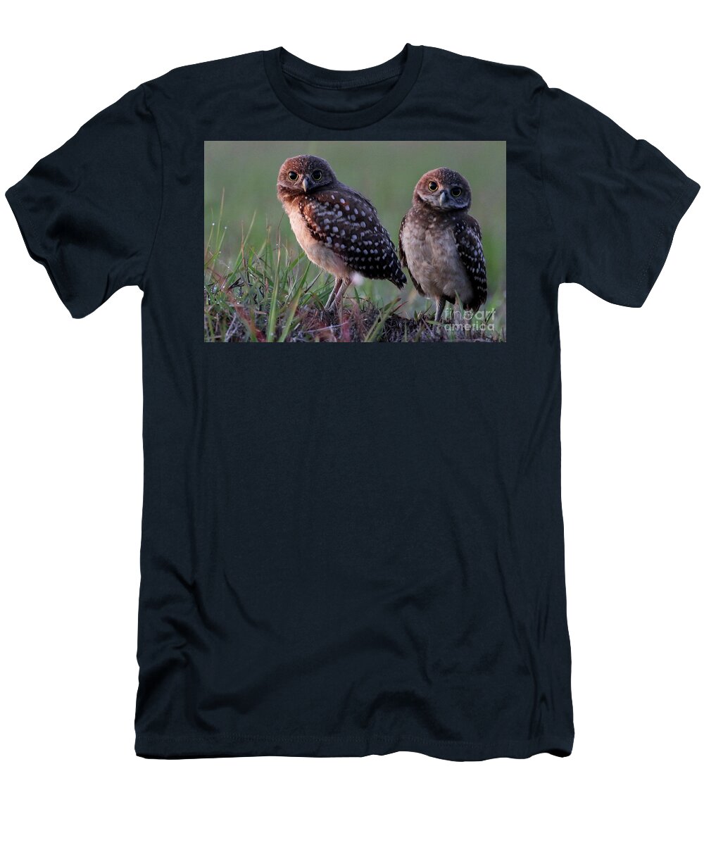 Burrowing Owl T-Shirt featuring the photograph Burrowing Owl Photo #3 by Meg Rousher