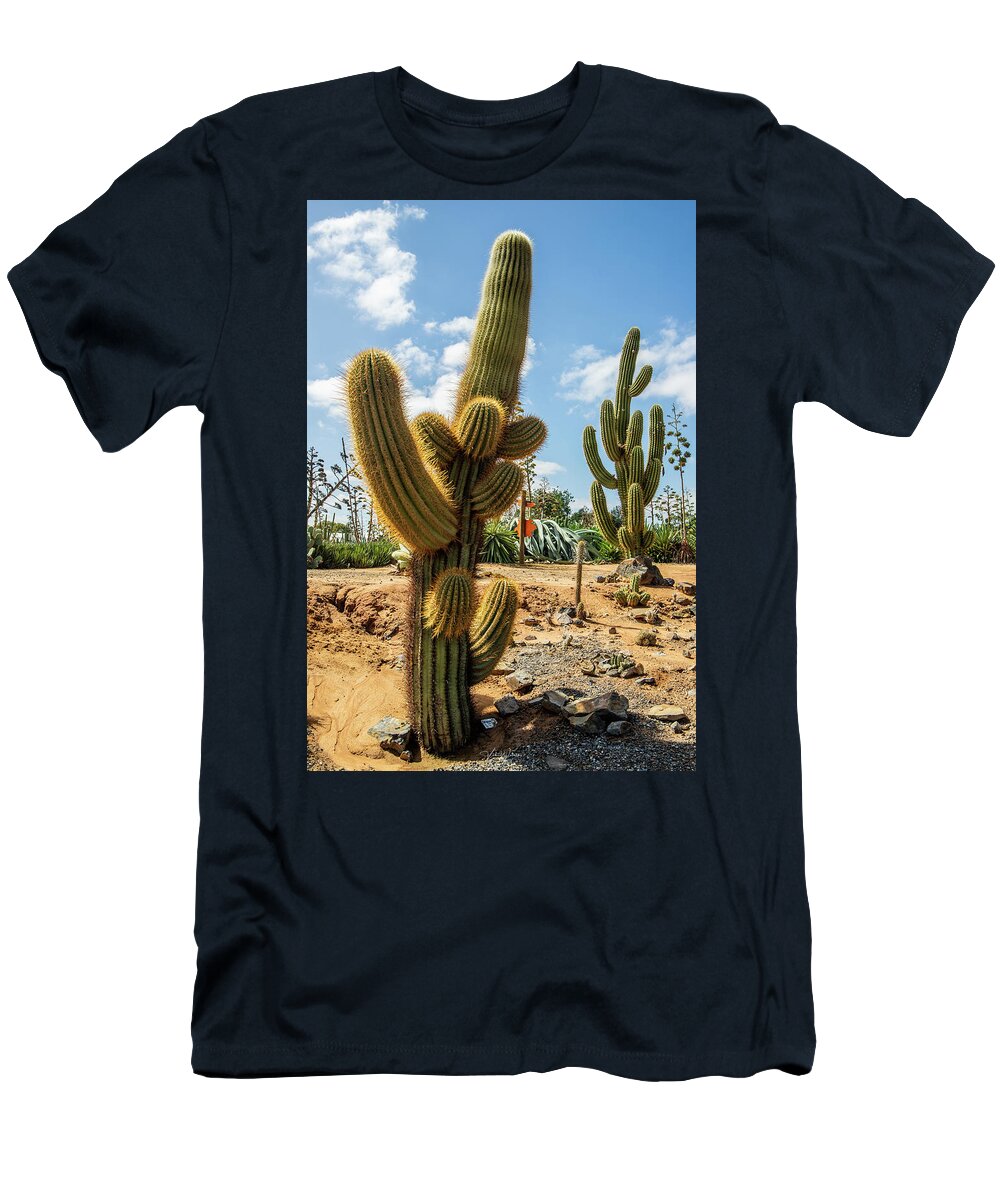 Cactus T-Shirt featuring the photograph Cactus Country by Vicki Walsh