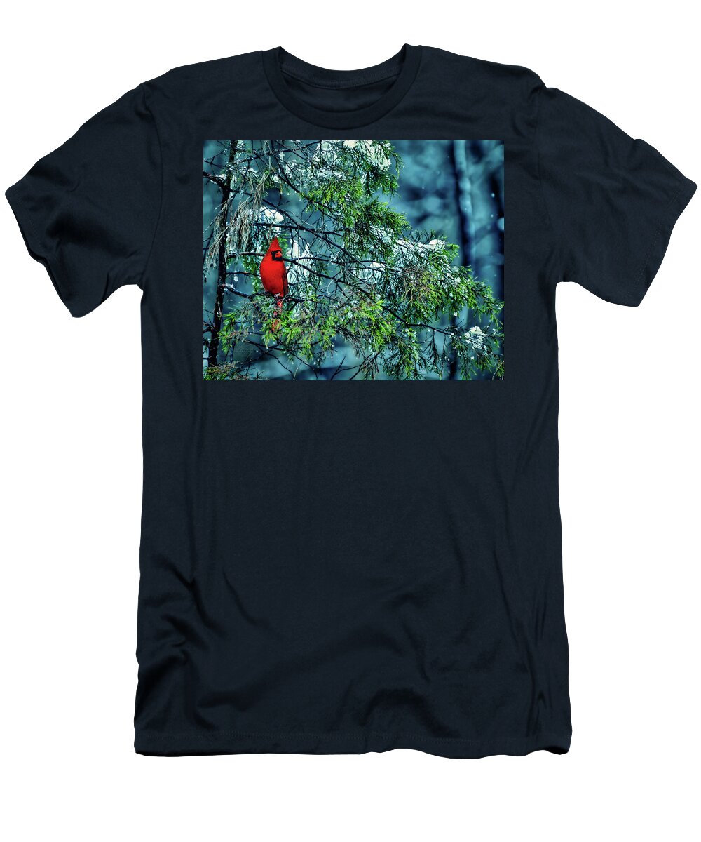 Male Cardinal T-Shirt featuring the photograph Cardinal Perch by Michael Frank