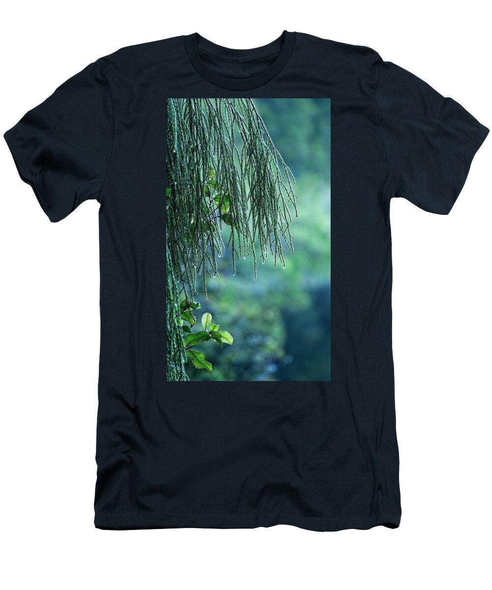 New Zealand T-Shirt featuring the photograph Conifer Tree at Dawn, New Zealand by Steven Ralser