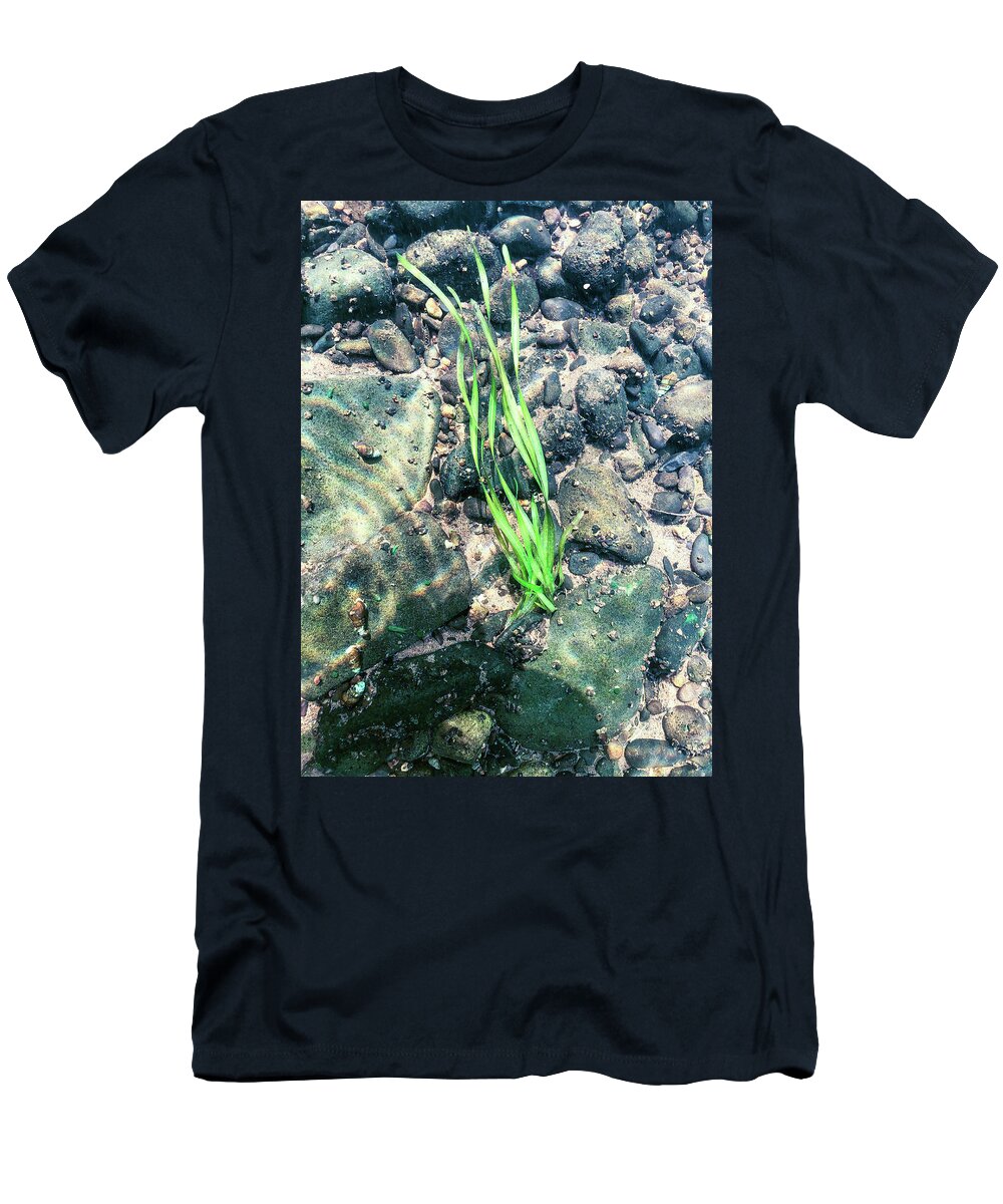 Water T-Shirt featuring the photograph Delaware River Underwater Landscape Seaweed by Amelia Pearn