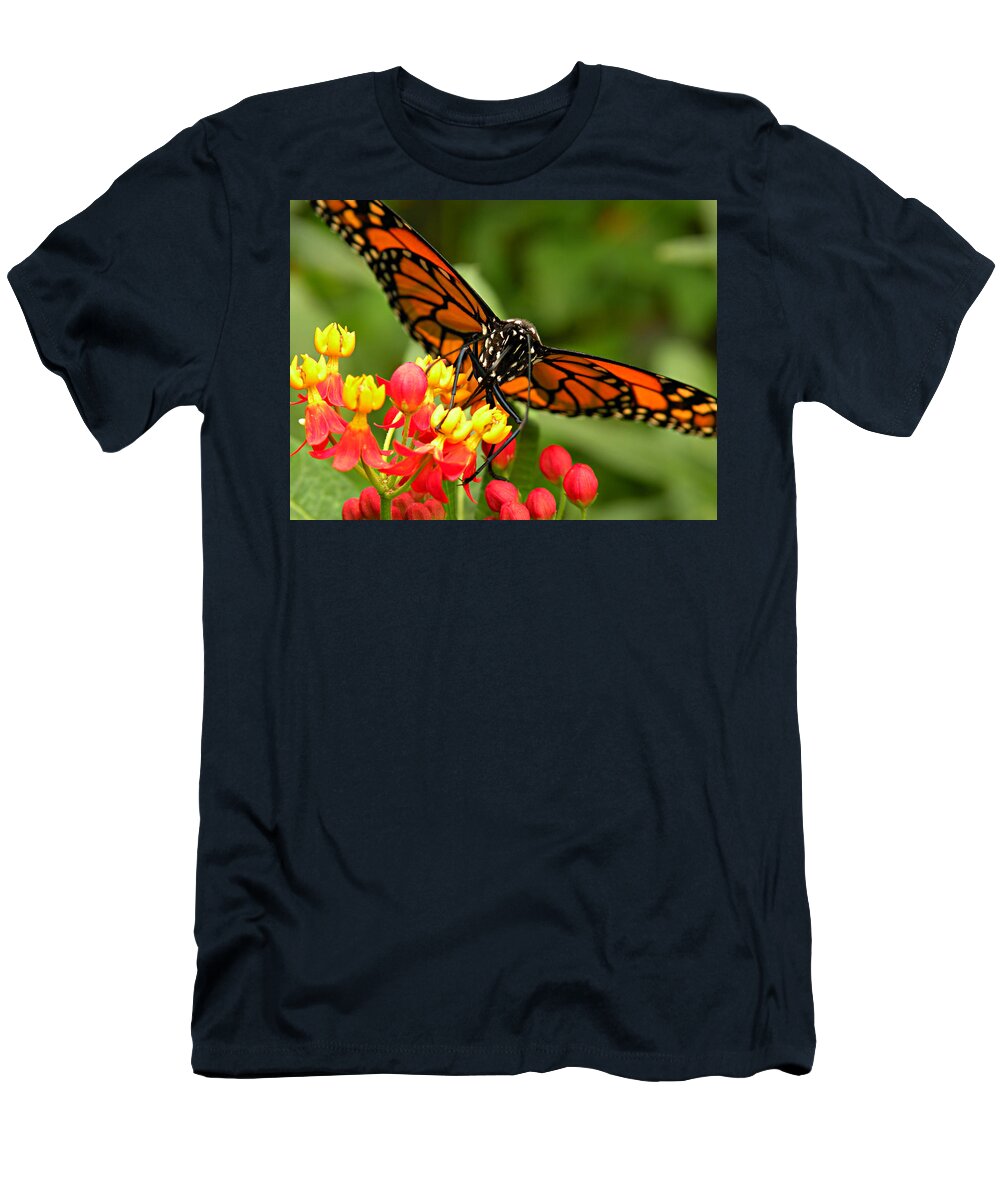 Butterfly T-Shirt featuring the photograph Fierce Beauty by Micki Findlay