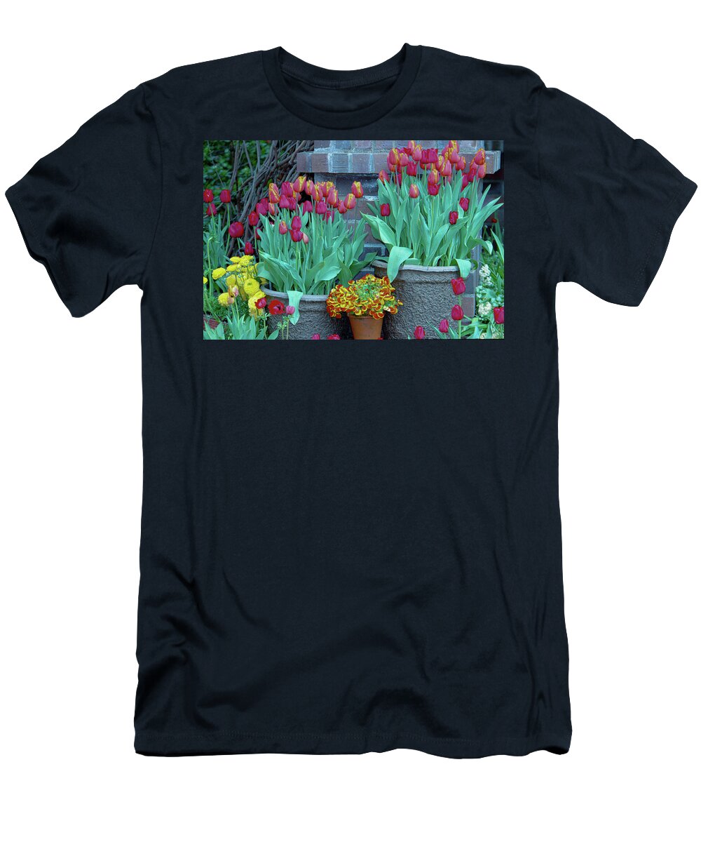 Tulips T-Shirt featuring the photograph Garden Tulips in Containers by Bonnie Colgan