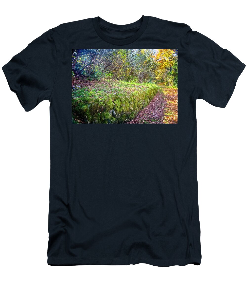 Path T-Shirt featuring the photograph Good Day For A Walk by Allen Nice-Webb