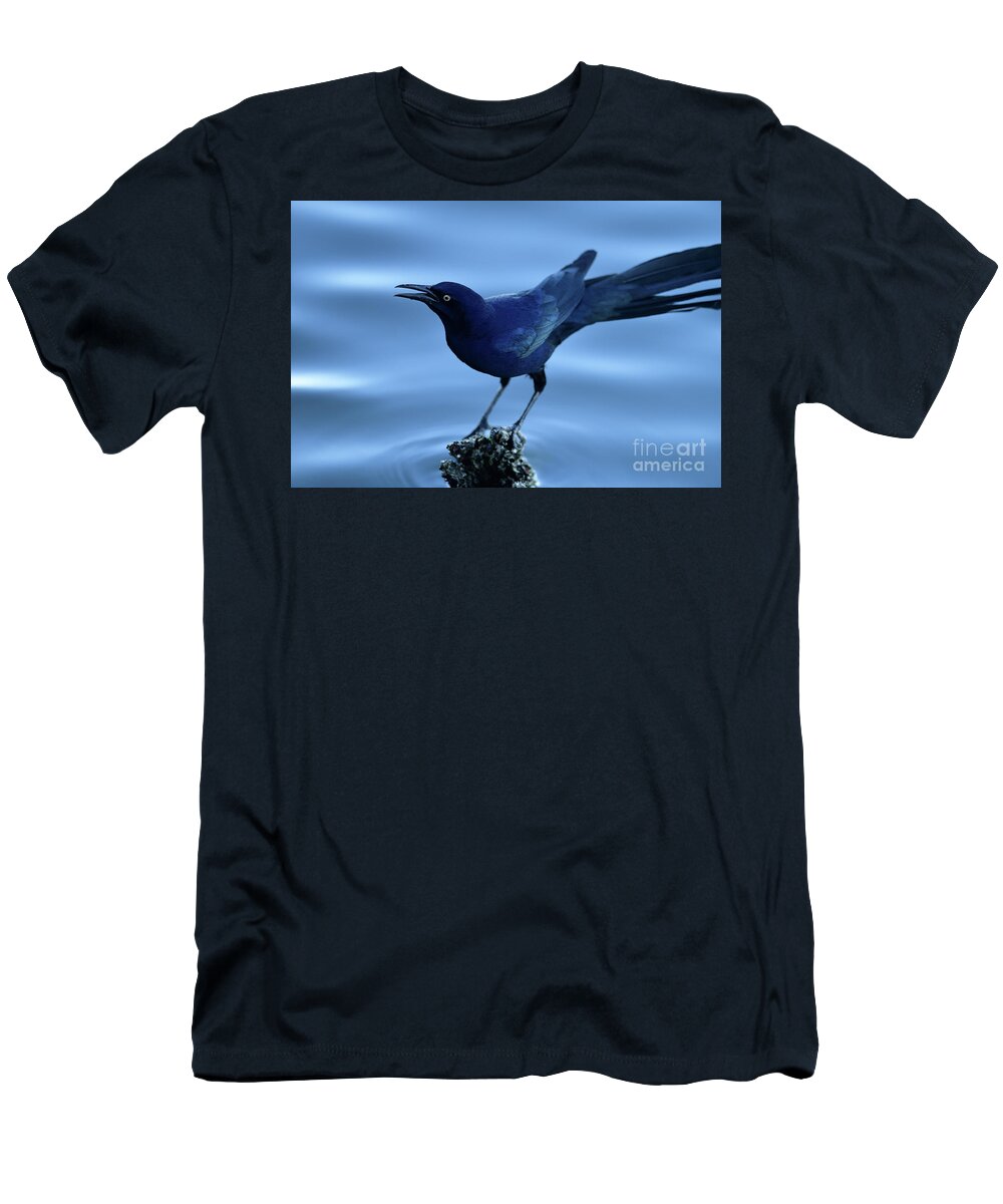 Quiscalus Mexicanus T-Shirt featuring the photograph Great-tailed Grackle by Amazing Action Photo Video