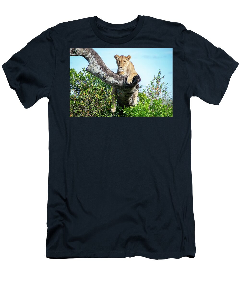 Lioness T-Shirt featuring the photograph Lioness on the lookout by Gareth Parkes
