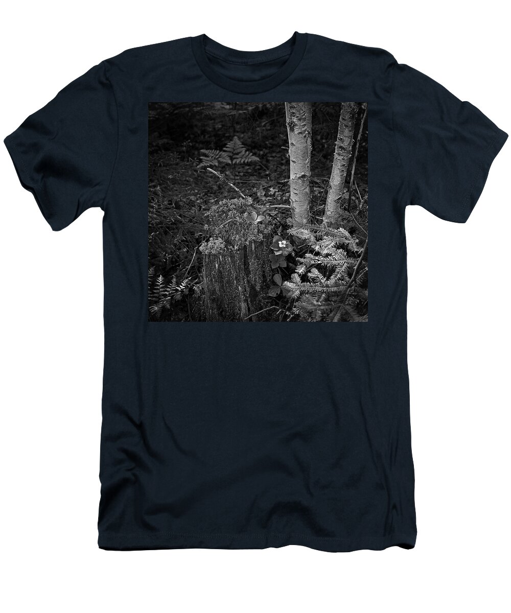 B&w T-Shirt featuring the photograph Memories of Summers Past by Mike Schaffner