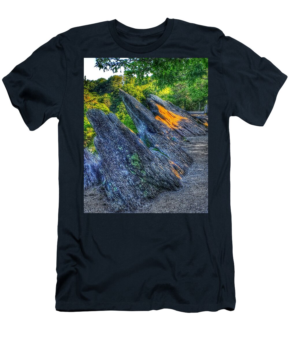 Photo T-Shirt featuring the photograph Nature at Blowing Rock by Anthony M Davis
