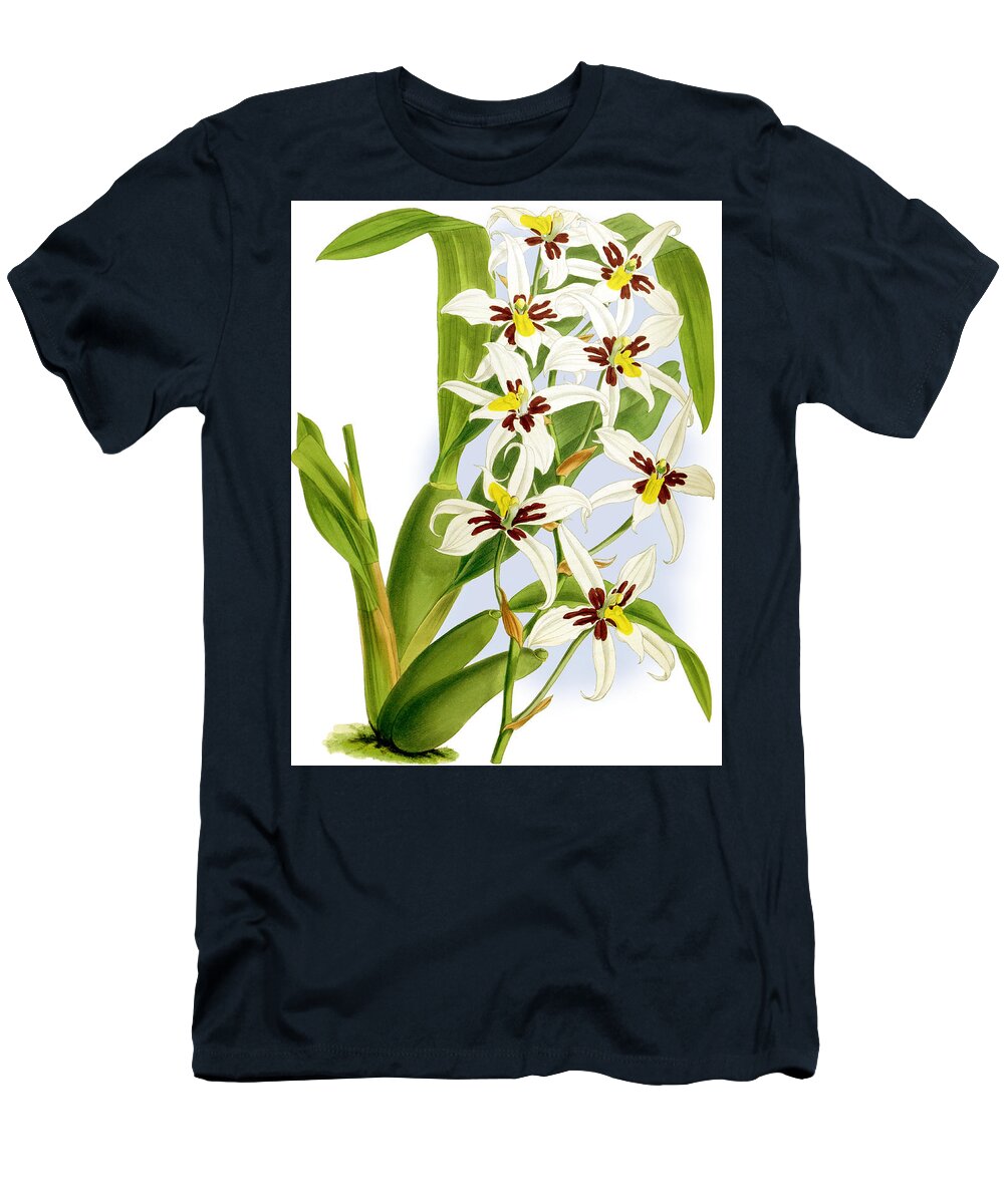 Orchid T-Shirt featuring the mixed media Odontoglossum Madrense Orchid by World Art Collective