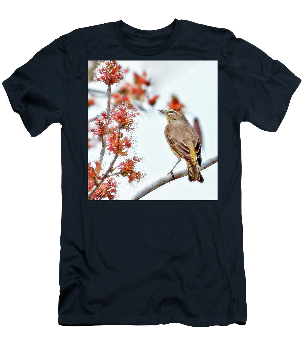 Bird T-Shirt featuring the photograph Palm Warbler by Gina Fitzhugh