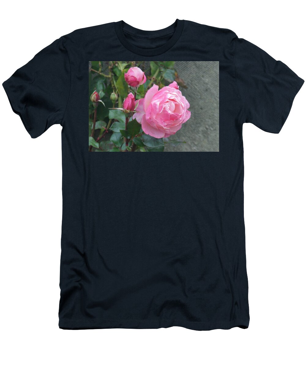 Rose T-Shirt featuring the photograph Pink Roses by Alan Ackroyd