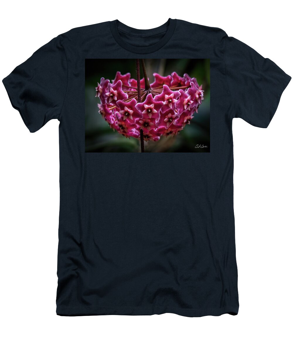 Pink T-Shirt featuring the photograph Pink Silver Porcelain Flower by Steven Sparks