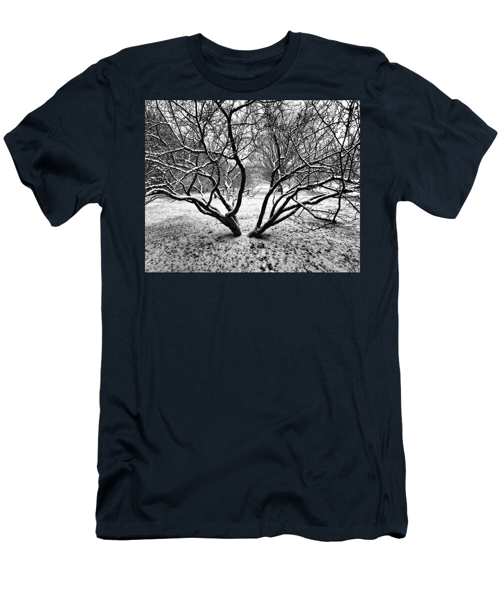 Trees T-Shirt featuring the photograph Solitude by Scott Olsen