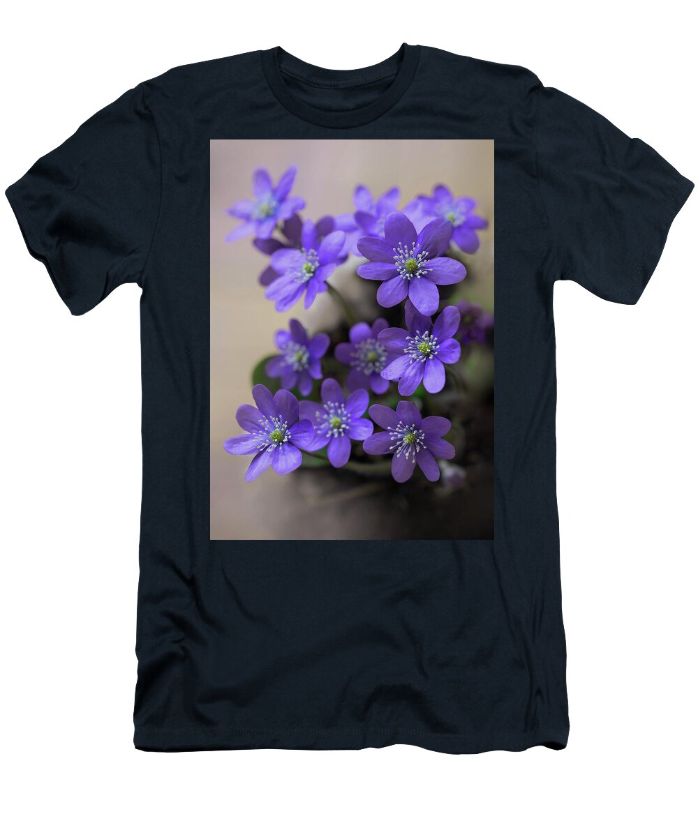 Hepatica T-Shirt featuring the photograph Spring is here by Jaroslaw Blaminsky