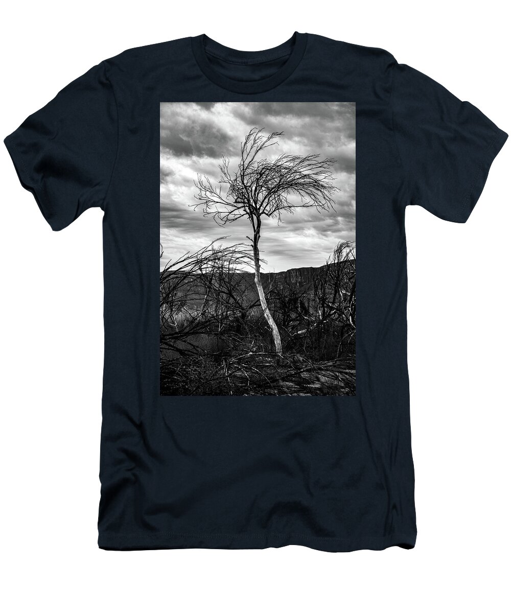 Black And White T-Shirt featuring the photograph Standing Tall by KC Hulsman