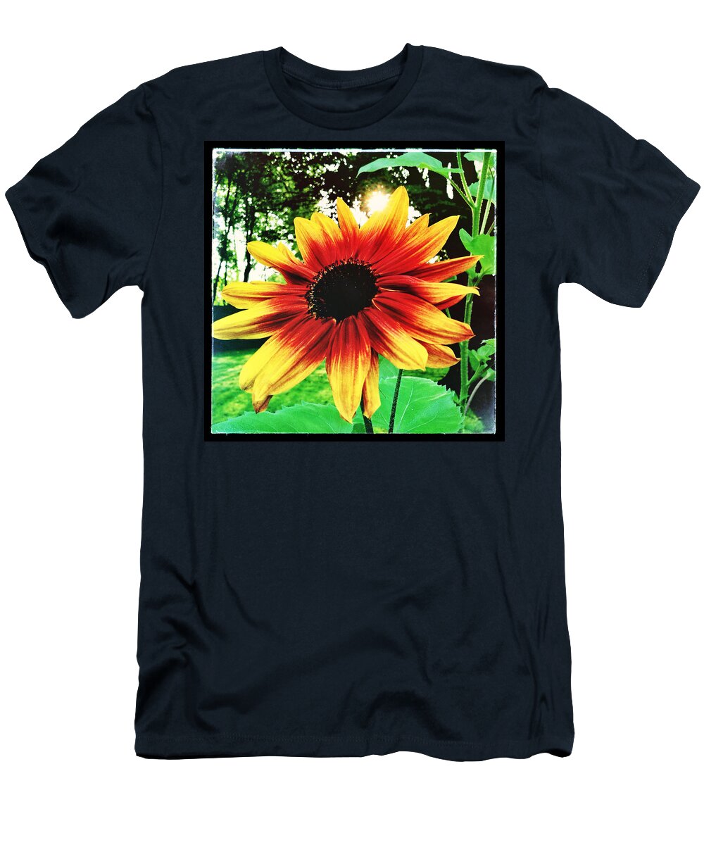 Sunflower T-Shirt featuring the photograph Sunflower by Robert Dann
