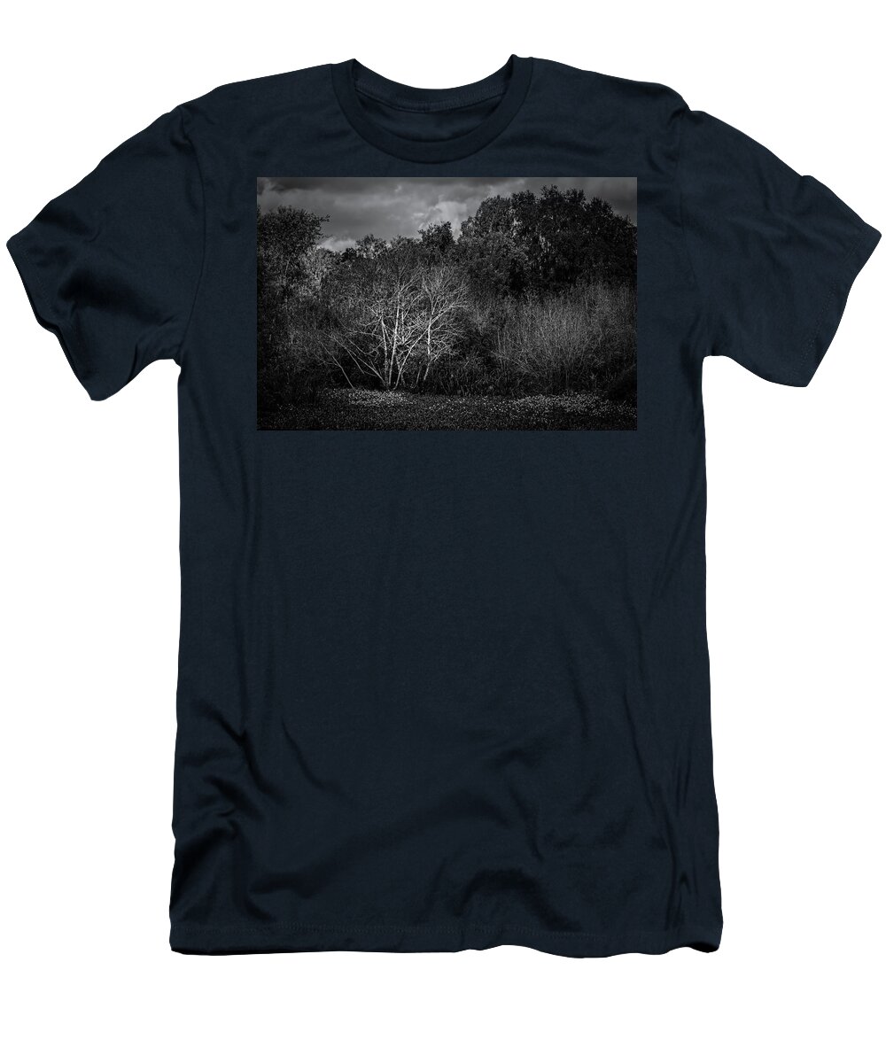 Blackandwhite T-Shirt featuring the photograph The Birch Tree in Autumn by Mike Schaffner