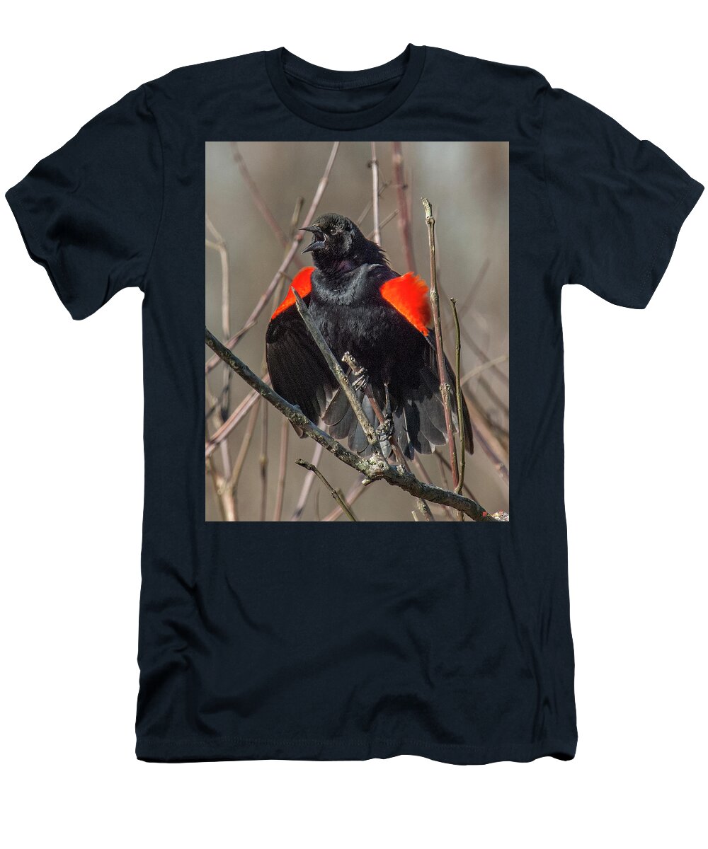 Marsh T-Shirt featuring the photograph This Is MY Marsh DSB035 by Gerry Gantt
