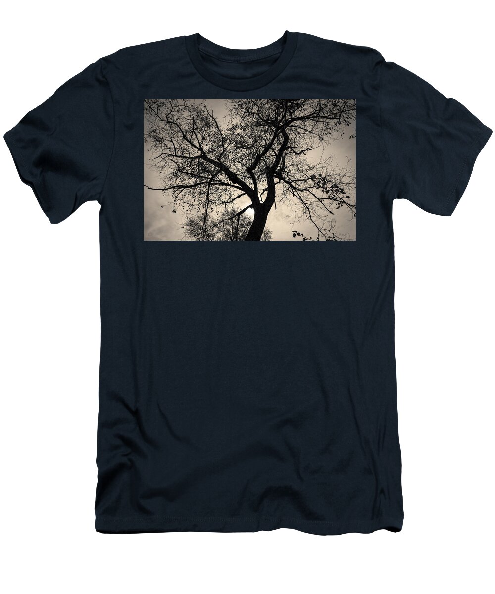 Abstract T-Shirt featuring the photograph Tree Silhouette Toned by David Gordon