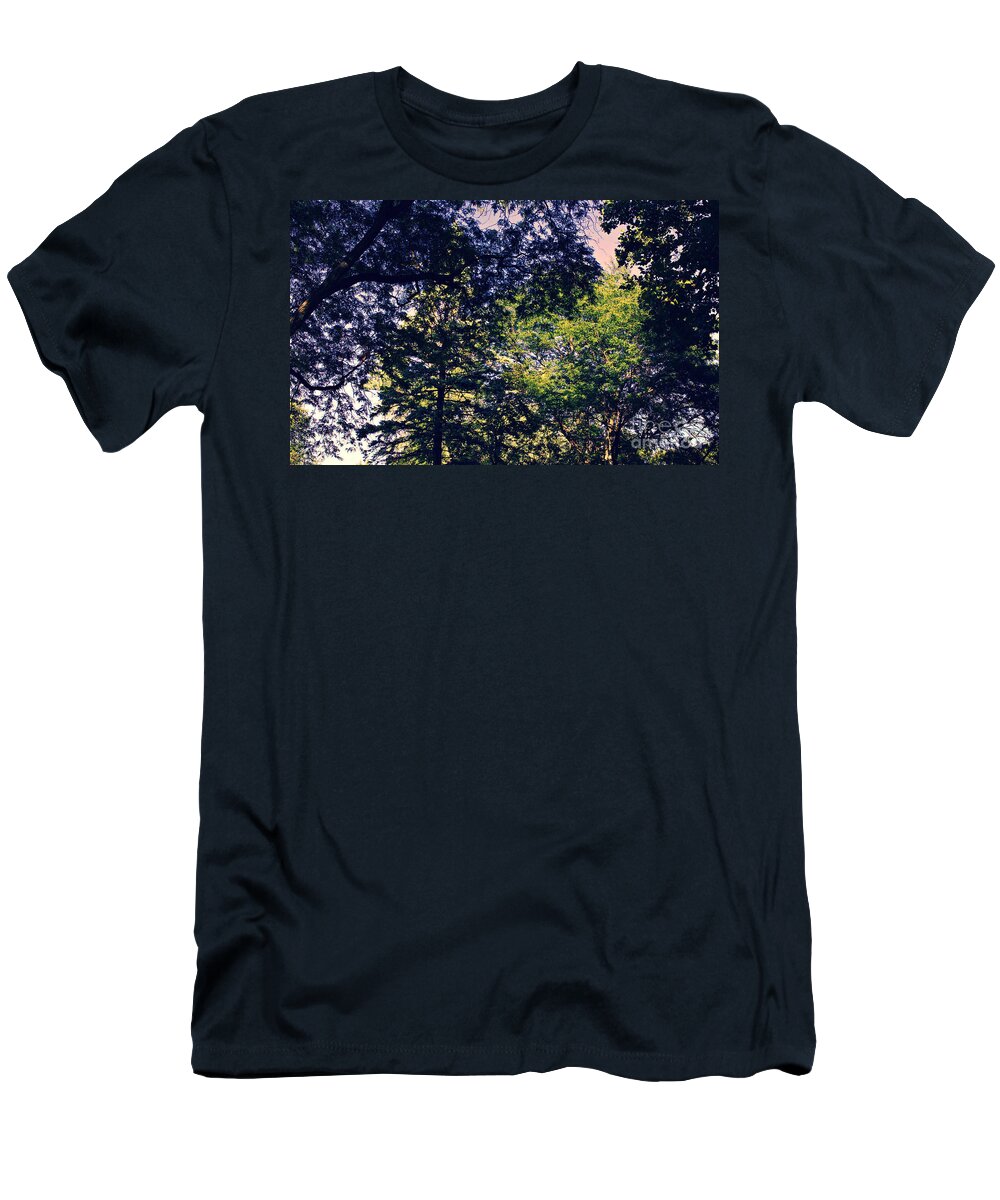 Nature T-Shirt featuring the photograph Trees Shadows and Light - Cross Process by Frank J Casella