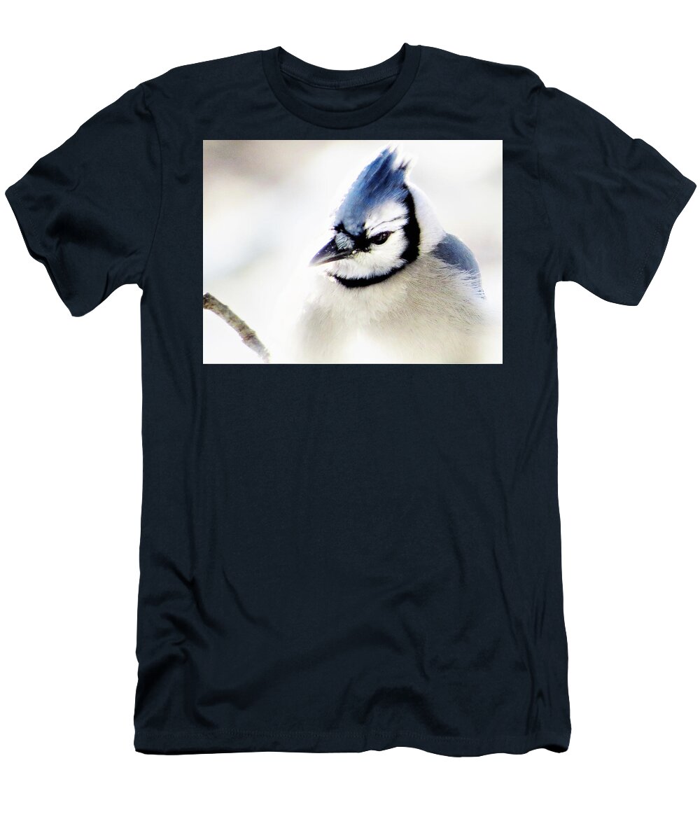 Blue Jay T-Shirt featuring the photograph Winter Jay by Lori Frisch