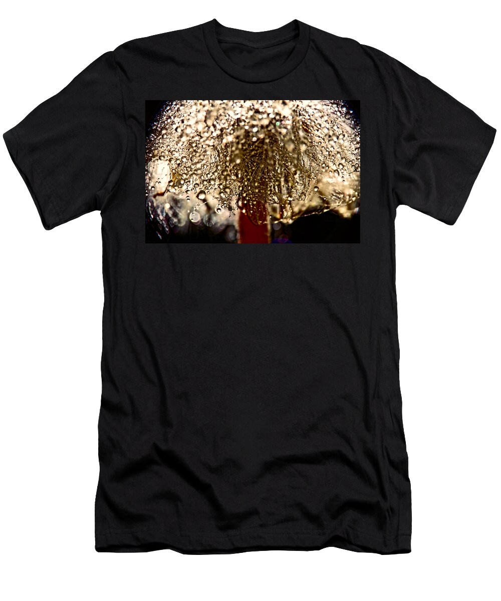 Dandelions T-Shirt featuring the photograph Dandelion Dew in Bronze by Peggy Collins