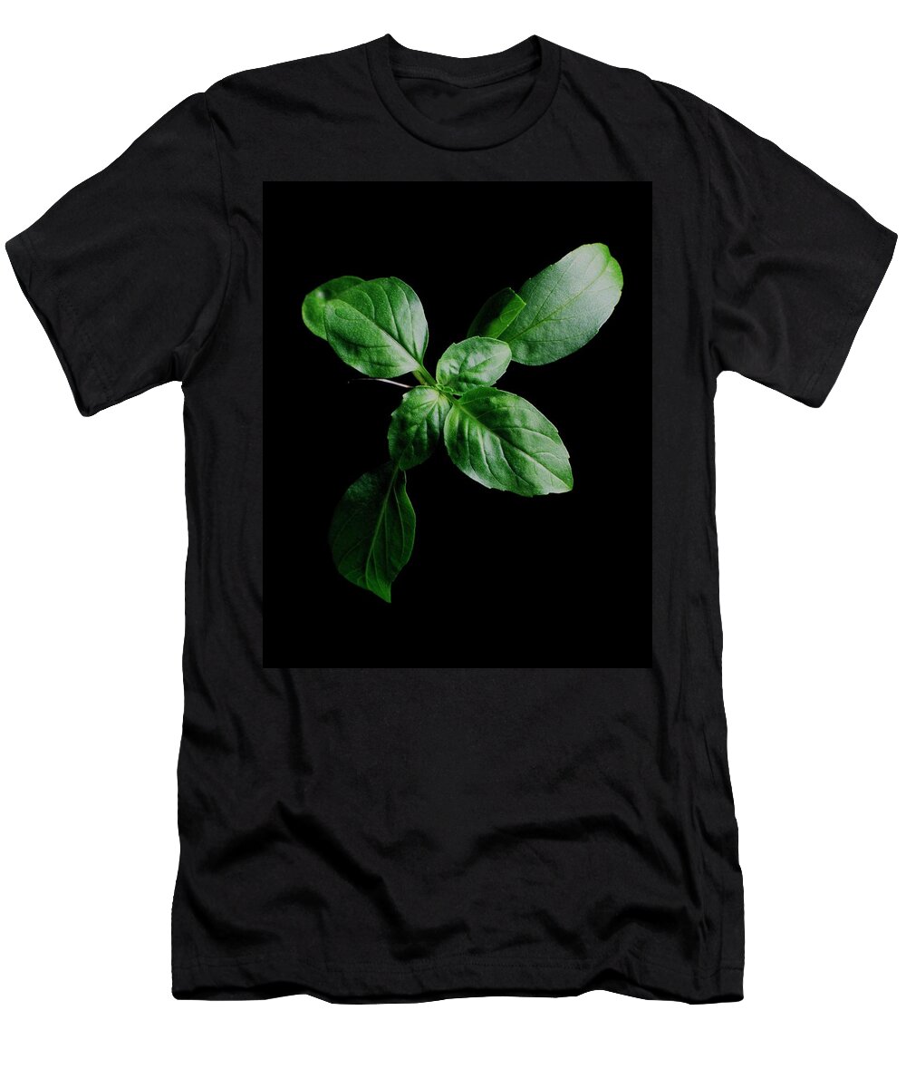 Herbs T-Shirt featuring the photograph A Sprig Of Basil by Romulo Yanes