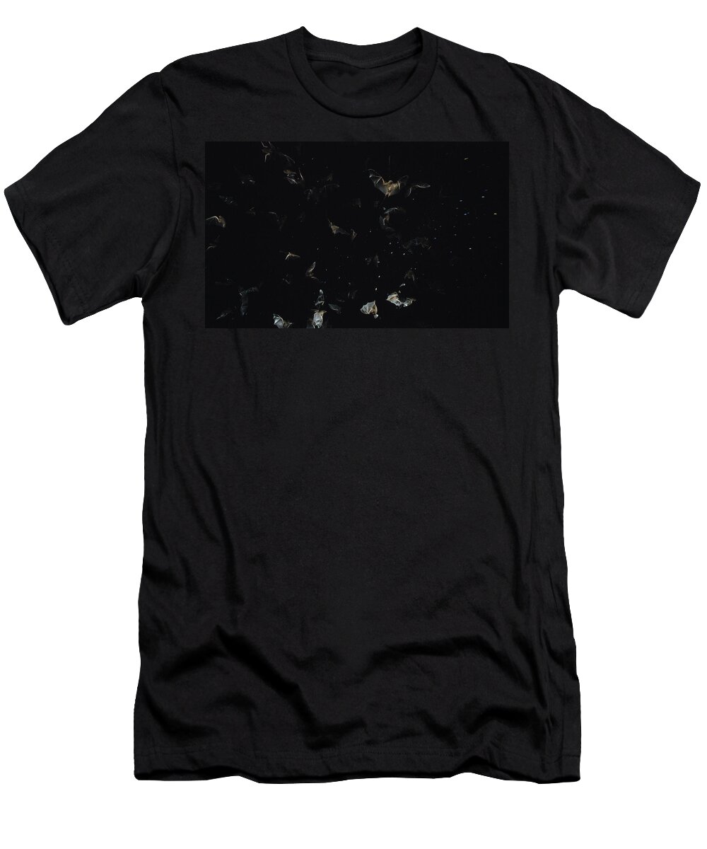 Feb0514 T-Shirt featuring the photograph Bats Flying Against Night Sky Pantanal #1 by Konrad Wothe