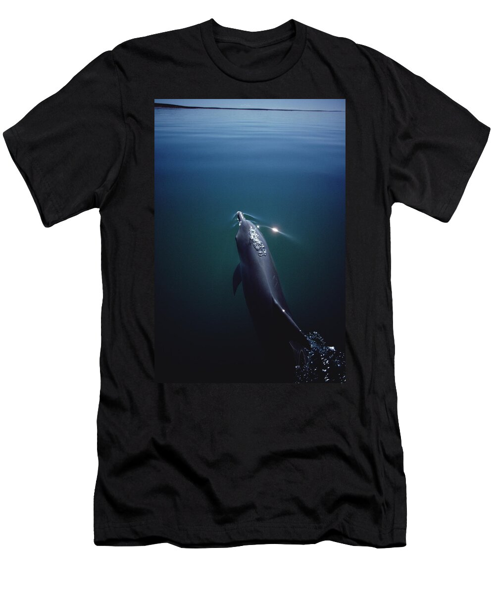 Feb0514 T-Shirt featuring the photograph Bottlenose Dolphin Surfacing Australia #1 by Flip Nicklin