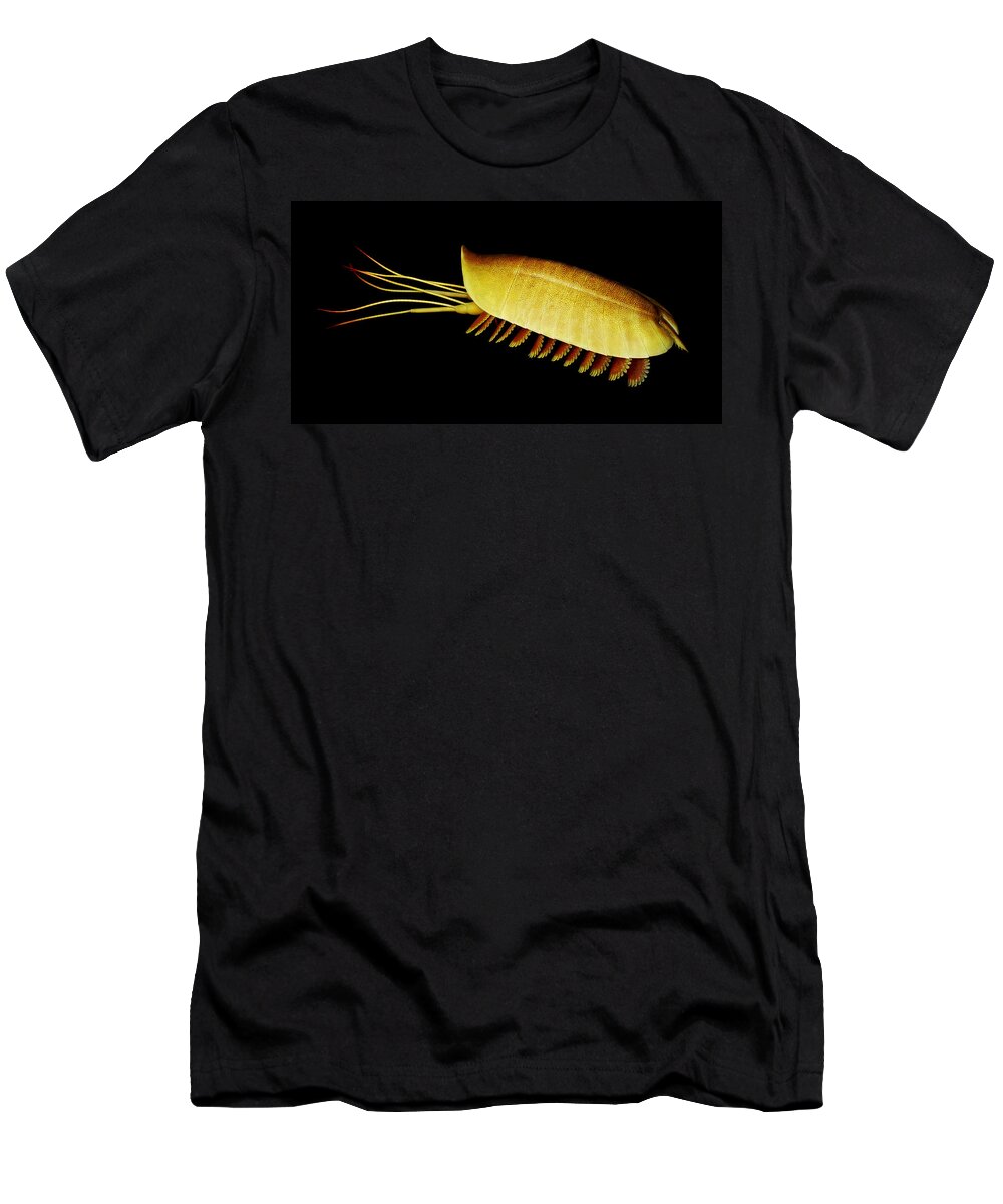 Illustration T-Shirt featuring the painting Burgess Shale Arthropod #1 by Chase Studio