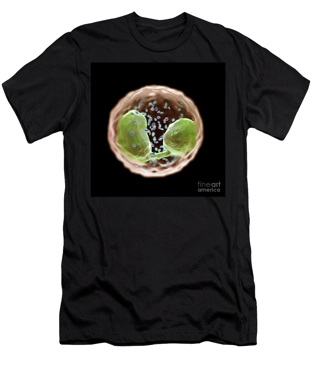 Cells T-Shirt featuring the photograph Eosinophil Cell #1 by Science Picture Co