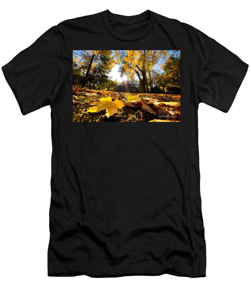 Fall T-Shirt featuring the photograph Fall autumn park. Falling leaves #1 by Michal Bednarek