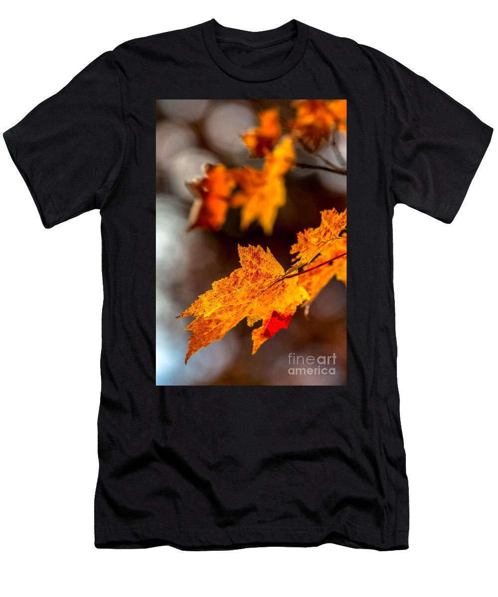 Fort-mountain T-Shirt featuring the photograph Fall colors by Bernd Laeschke