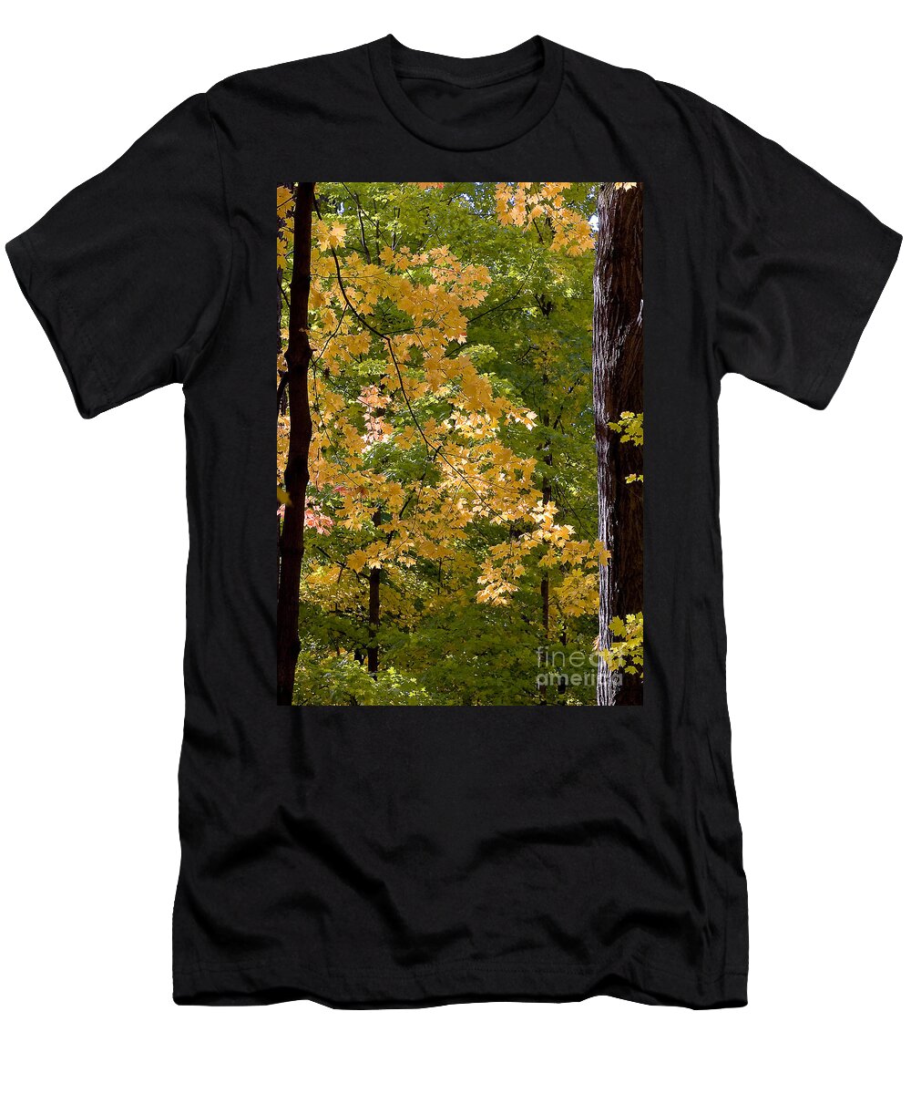 Autumn T-Shirt featuring the photograph Fall Maples #1 by Steven Ralser