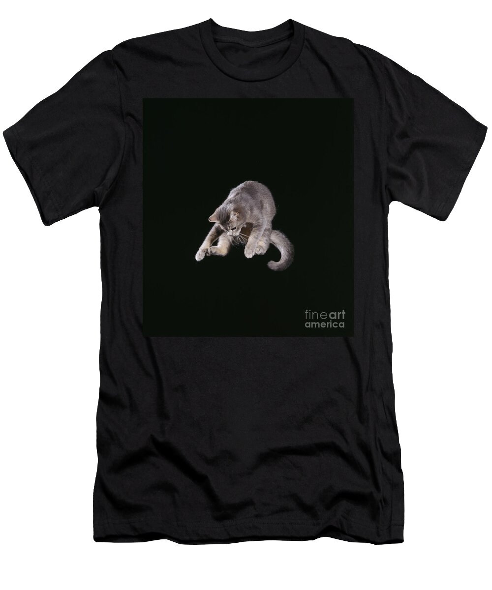 Cat T-Shirt featuring the photograph Falling Cat #1 by John Daniels