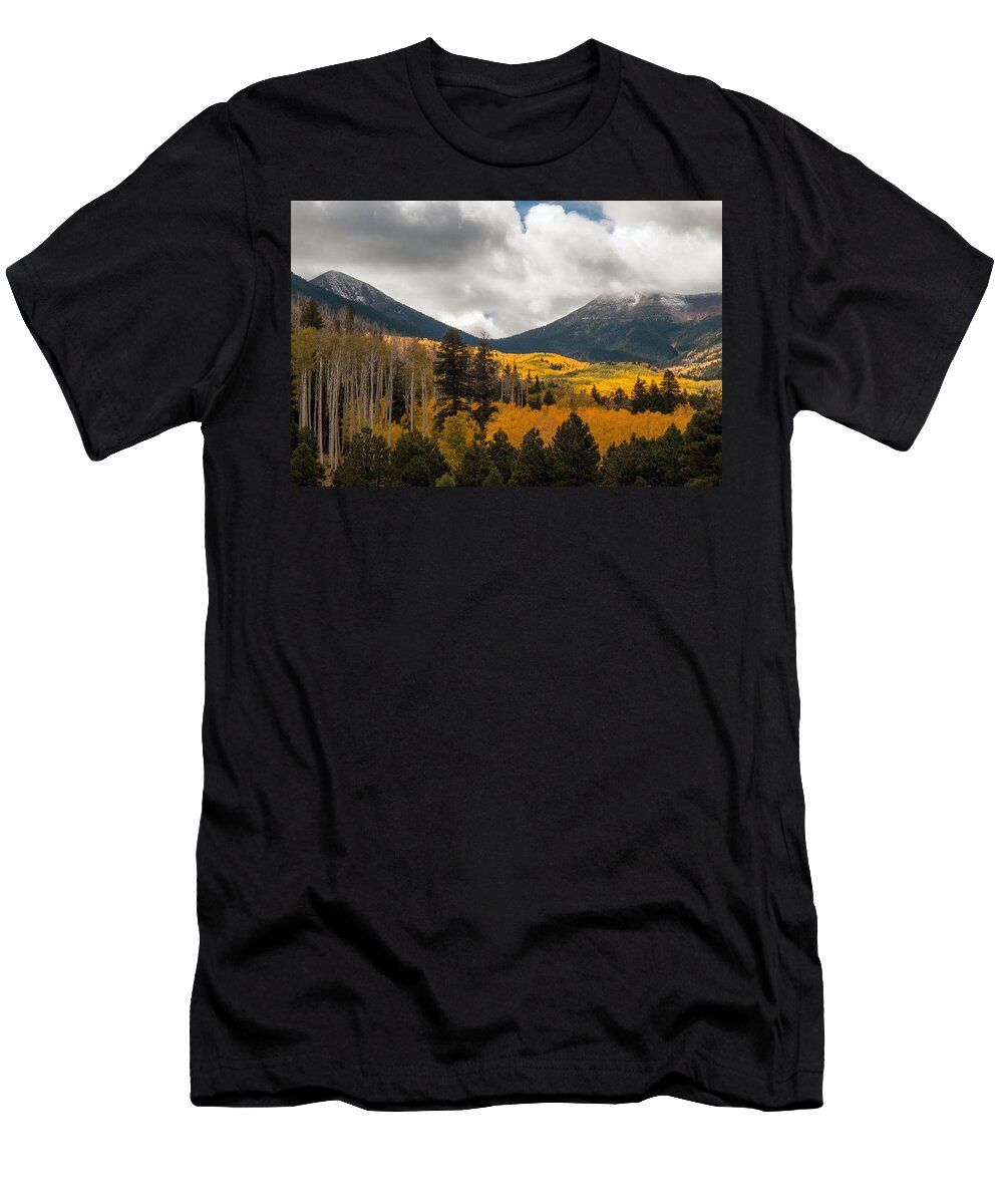 Fall Color T-Shirt featuring the photograph Flagstaff Fall Color #4 by Tam Ryan